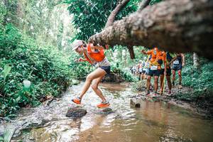 BIB: 
                            <button type="button" onclick="openModal(25372530)" class="btn btn-primary btn-sm float-right btn-popup" data-toggle="modal" data-target=".modal-high-quality">
                        <i class="fas fa-shopping-cart"></i> Add to Cart
                    </button>
                                            <button type="button" onclick="isThisMe(25372530, true)" class="btn btn-success btn-sm float-right btn-popup btn-isme hidden" data-toggle="tooltip" data-placement="bottom" title="นี่คือรูปของคุณใช่ไหม คลิกที่นี่เพื่อเอาเข้าอัลบั้ม">
                        <i class="fas fa-plus"></i> Add to album
                    </button>
                    <button type="button" onclick="isThisMe(25372530, false)" class="btn btn-warning btn-sm float-right btn-popup btn-isnotme hidden">
                        <i class="fas fa-ban"></i> Remove from album
                    </button>